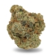 Sensi Star x 20,0% THC | Beacon Medical Germany