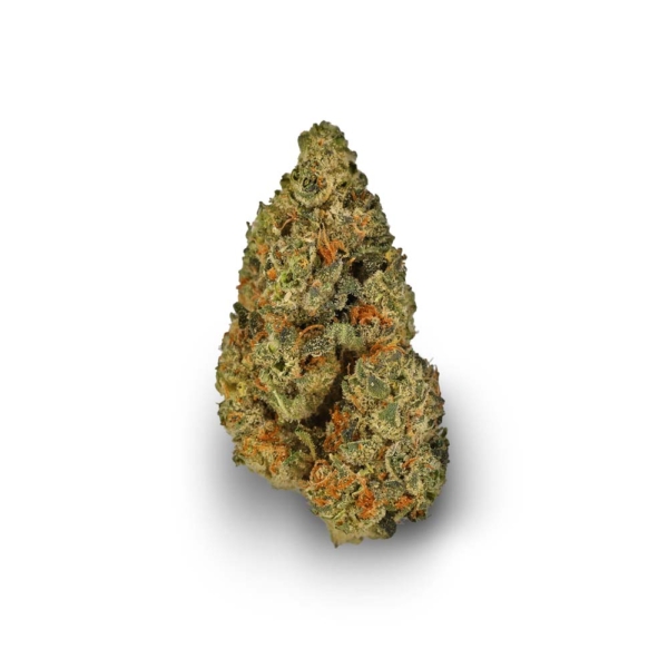 Fast Orange
