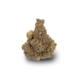 OG Kush x 22,0% THC | IMC