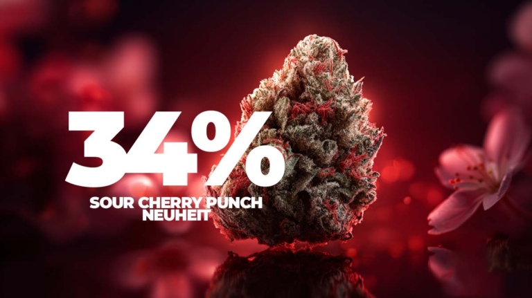 Althea Cannabis: Sorten, THC-Werte & Apotheke