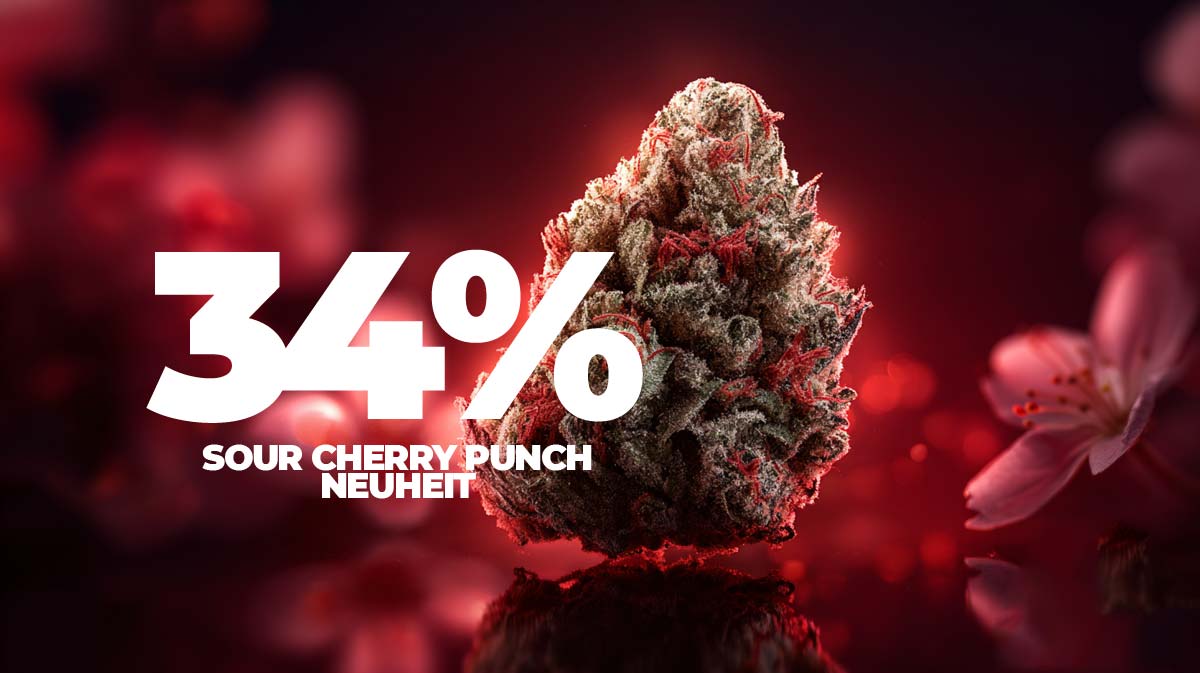 Aurora Cannabis Aktie: Kurs, Prognose & lohnt sich ?