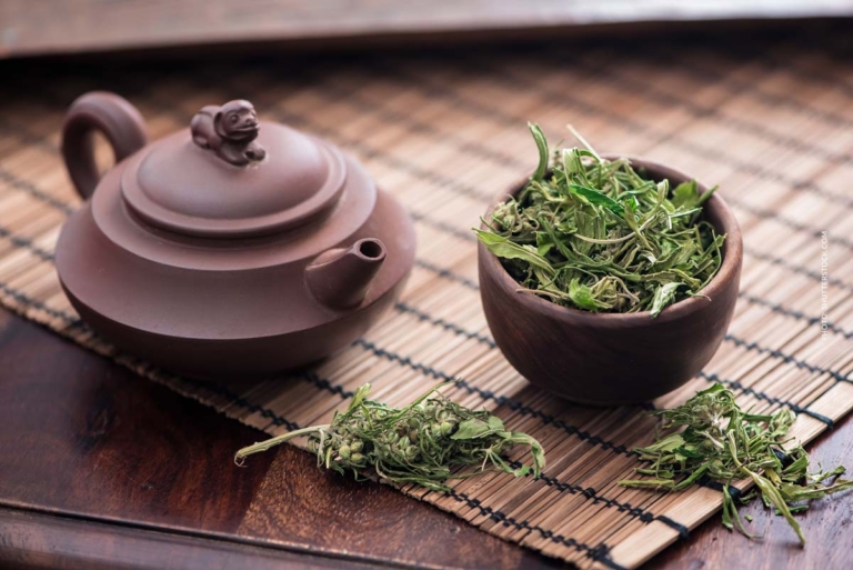 Cannabis Geschichte: Herkunft, Konsum, Verbot, Legalisierung – 4.000 Jahre Weed
