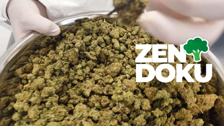 Zen News Juni: Mary Jane, Open Mind, GreenConnection, Jeremy Fragrance & Social Clubs