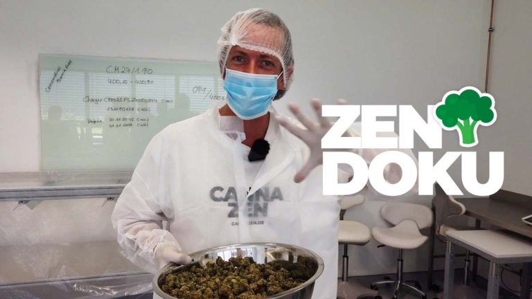 Cannabis Glaukom: Augeninnendruck senken & wie lange wirkt es?