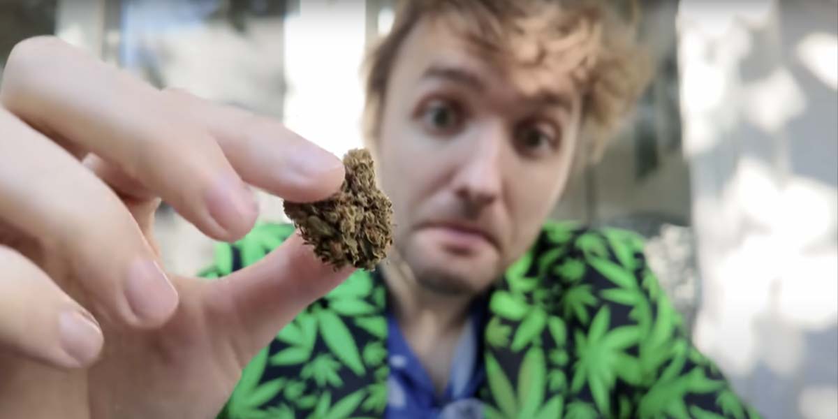 Cannabis Apotheke: Open, Mind, Cannabis, Bestellung, Test