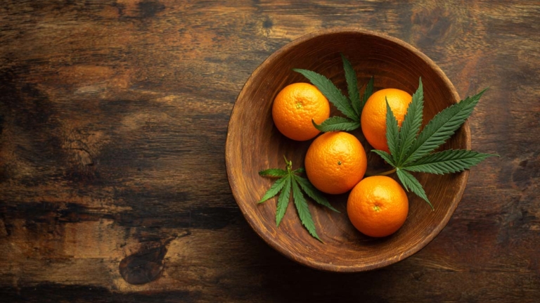Valencen Cannabis Terpen: Aroma, Geschmack, Effekt & Wirkung