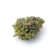 Mango x 18,0% THC | Bavaria Weed