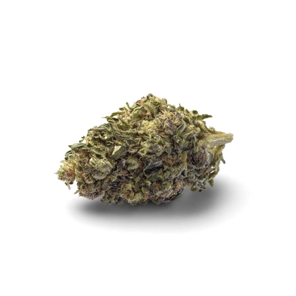 Orange Octane x 23,0% THC | WMG Pharma