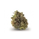 Purple Grape x 21,8% THC | IMC