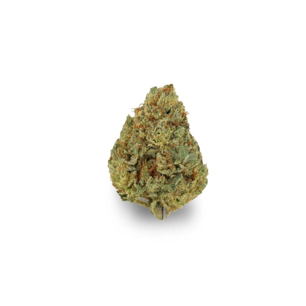 Critical Kush x 20,0% THC | avaay