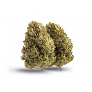Space Cake x 31,0% THC | Cannamedical