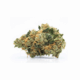 Amsterdam Amnesia x 24,0% THC | Cannamedical