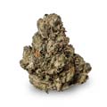 Cannabisblüte im Shop, Sativa
