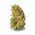 Cannabisblüte im Shop, Sativa