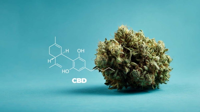 CBD und Krankheiten: Erfahrungen & Faktencheck: Wundermittel oder überschätzter Trend?