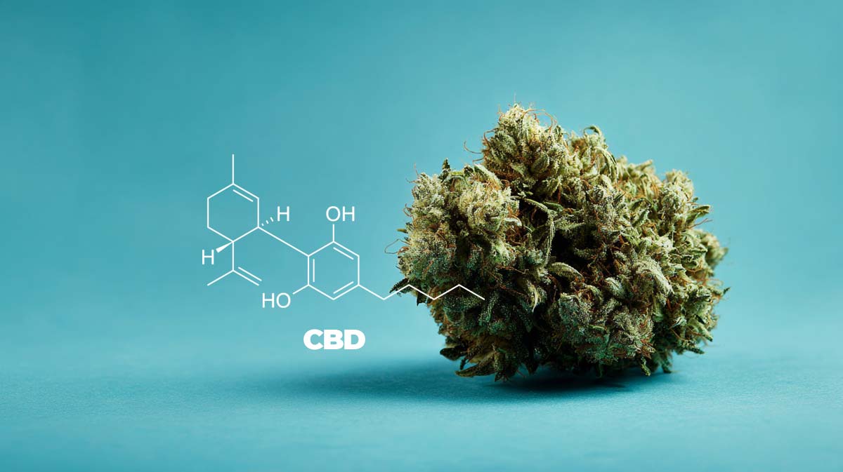 Bedrolite: THC 10 CBD 5 – Wirkung & 10ml Anwendung