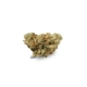 Fast Orange x 17,6% THC | Cannamedical