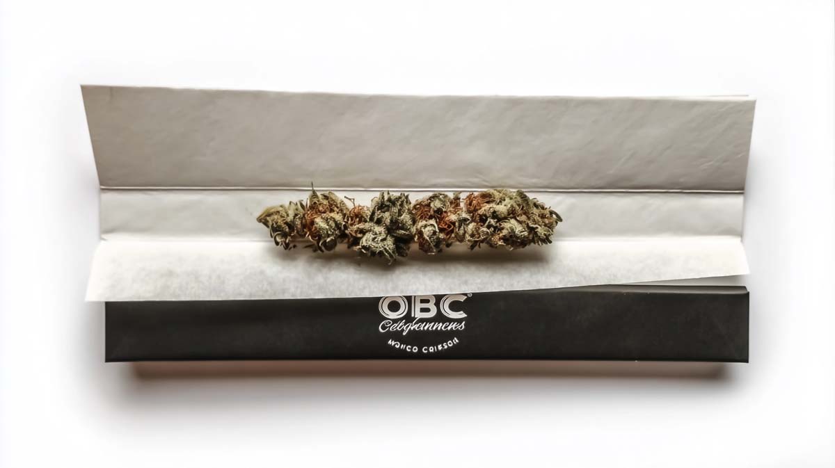 Cannabis Sorte: Long, Papes, Papers, Blattchen, Blunt