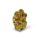 Whiteout x 22,0% THC | Four 20 Pharma