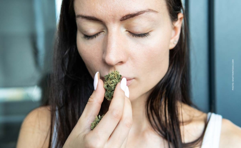 CBD Cannabis: Wirkung, Effekt, Blüten, Öl, Rezept & Shop: Cannabidiol