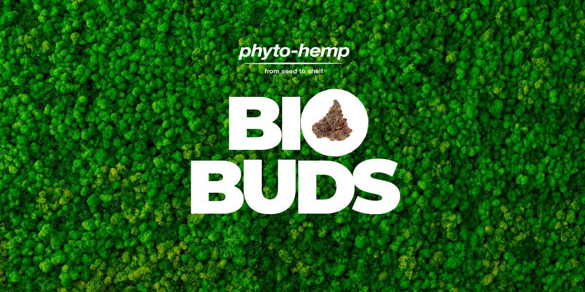 Feuchtigkeitspads für Weed: 58% oder 62% & welche sind gut?