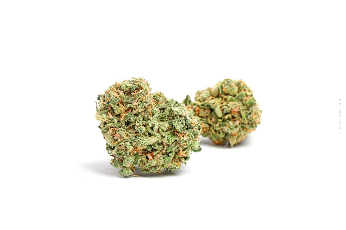 Blue Gelato Sorte: THC Gehalt, Wirkung & Erfahrungen