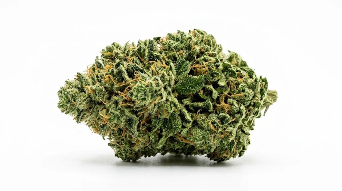 Space Queen: THC, Wirkung & Anbau der Sorte