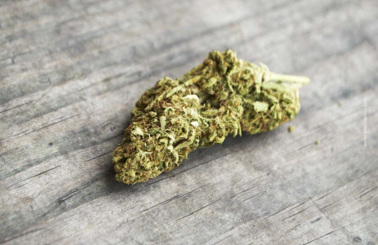 Apple Tartz Sorte: THC-Gehalt, Apfel-Aroma & Wirkung