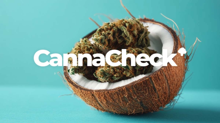 CannaCheck.de + CannaPreis.de jetzt neu! 2.000 Sorten Datenbank, Blüten & Rezept Preisvergleich