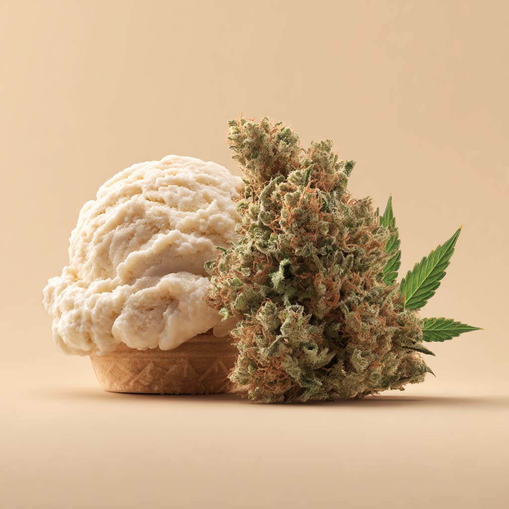 Gelato Dream – Bild 2