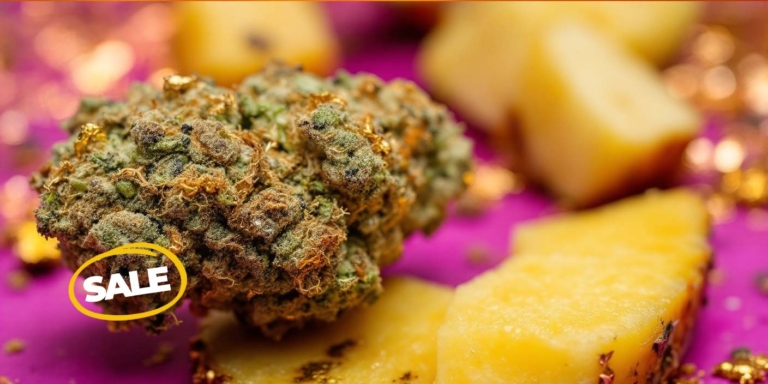 Low THC Sorten: Cannabis unter 10% THC im Überblick