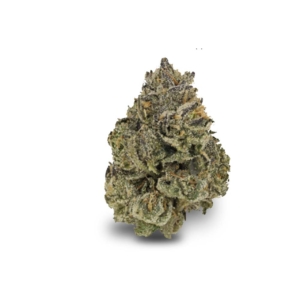 CRAFT Midnight Lotus x 28,0% THC | Cannamedical