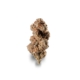 Cap Junky x 25,0% THC | Four 20 Pharma