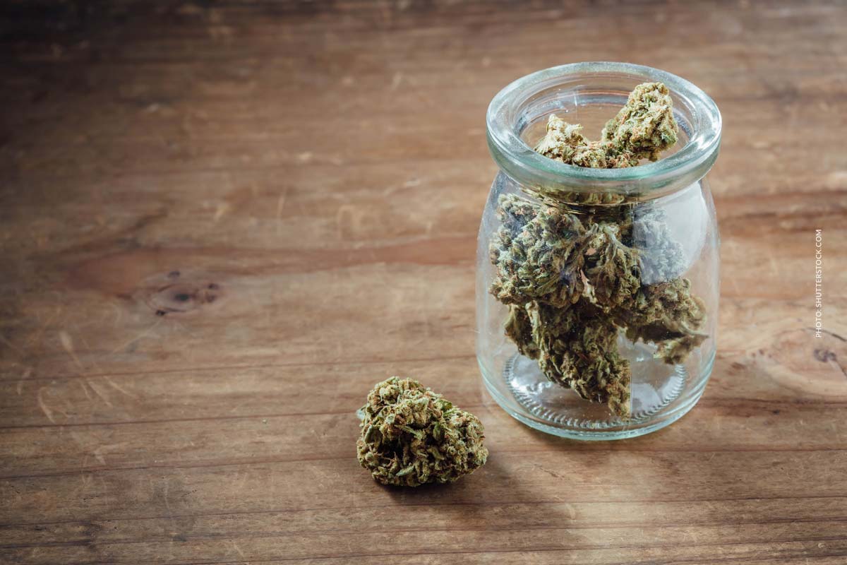 Cannabis Sorten Anfänger: Welche Sorte mit wenig THC?