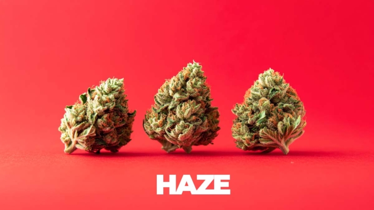 Kiffer Haut: Akne, CBD & was hilft wirklich?