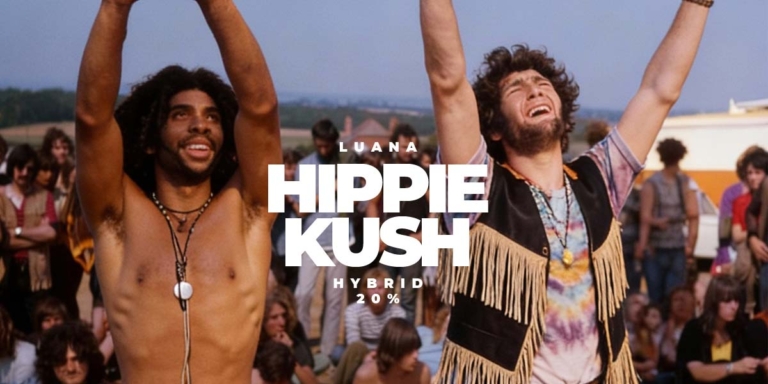 Cannabis Hippies: Weed, USA, Lebensstil früher, Bewegung & Woodstock – Alles!