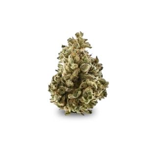Holy Roller #11 x 22,0% THC | Demecan