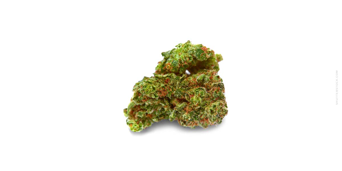 Sour Banana Sherbet: THC, Aroma & Wirkung der Sorte