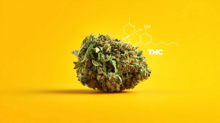 Medizinisches Cannabis: Wirkung, Wirkstoffe, Rezept, Arzt & Apotheke