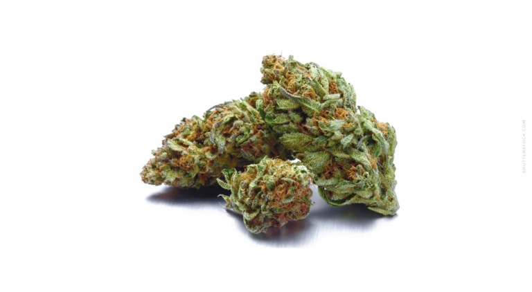 Terpene vs. Ätherische Öle: Was ist der Unterschied?