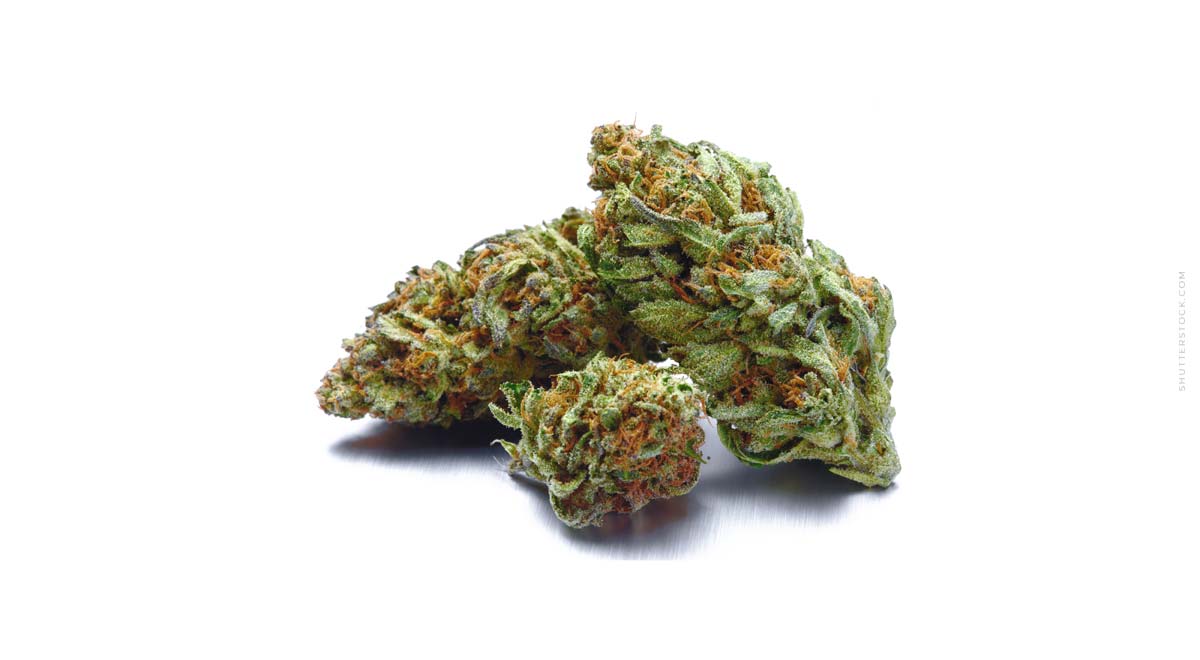 Terpene vs. Ätherische Öle: Was ist der Unterschied?