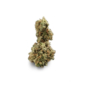 GMO (Garlic Cookies) x 22,0% THC | Four 20 Pharma