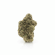 Black Marker x 26,0% THC | Demecan