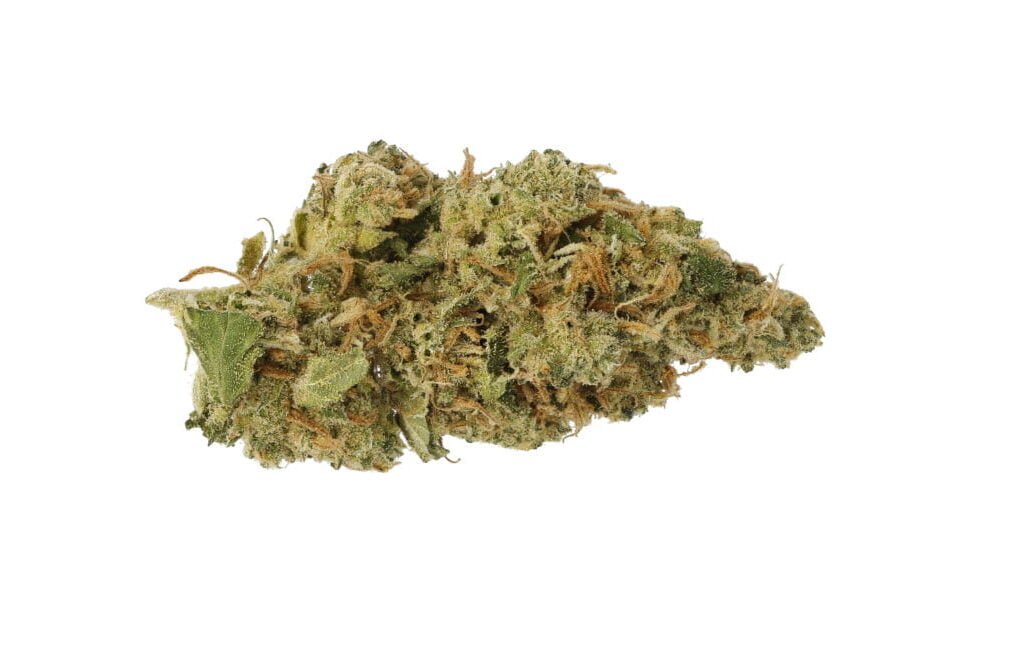 Bedrocan vs Bediol: THC, CBD & was ist der Unterschied?