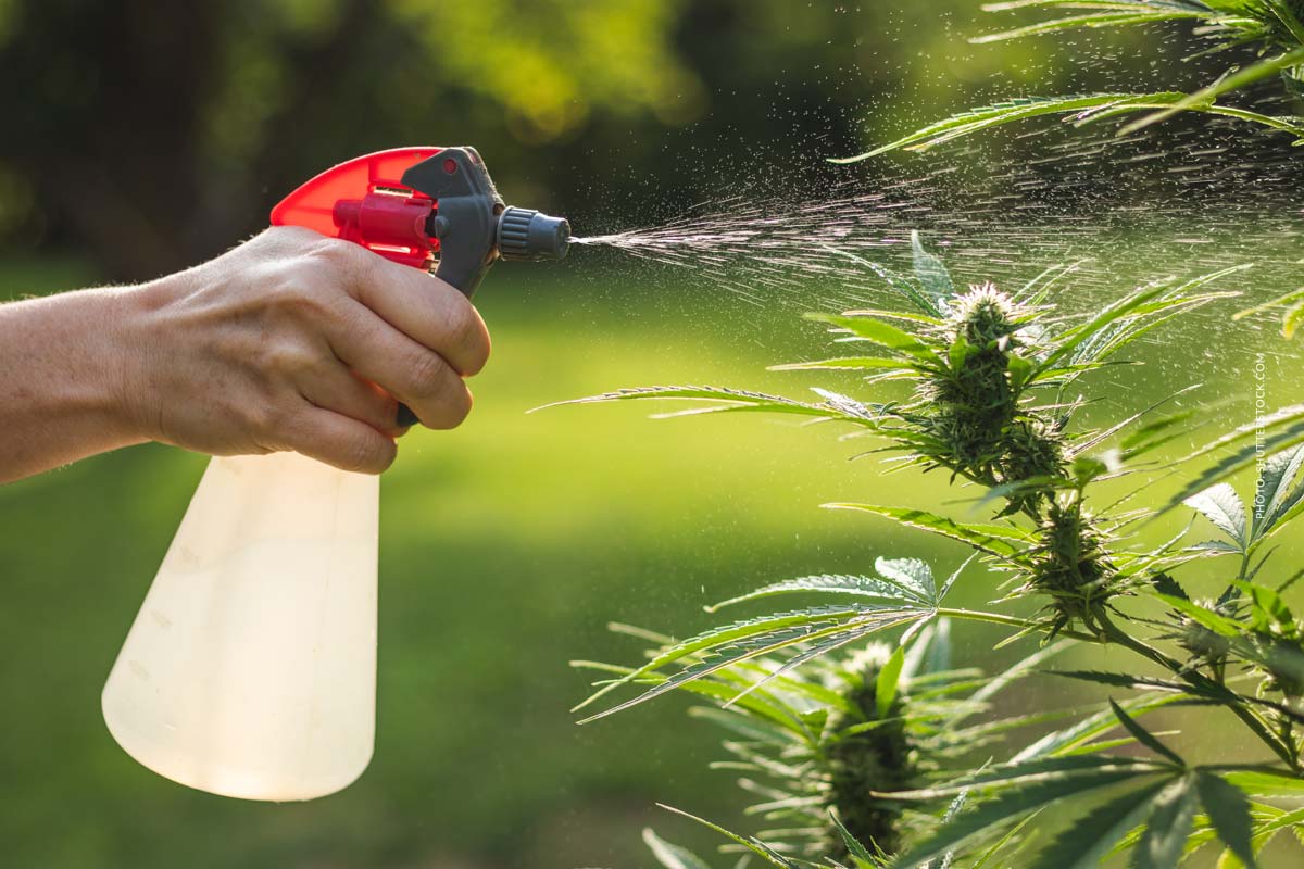 Wieviel Wasser in die Bong: zu viel, zu wenig & richtig füllen?