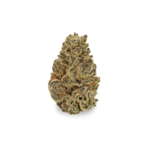 Orange Bud x 20,0% THC | Cannamedical