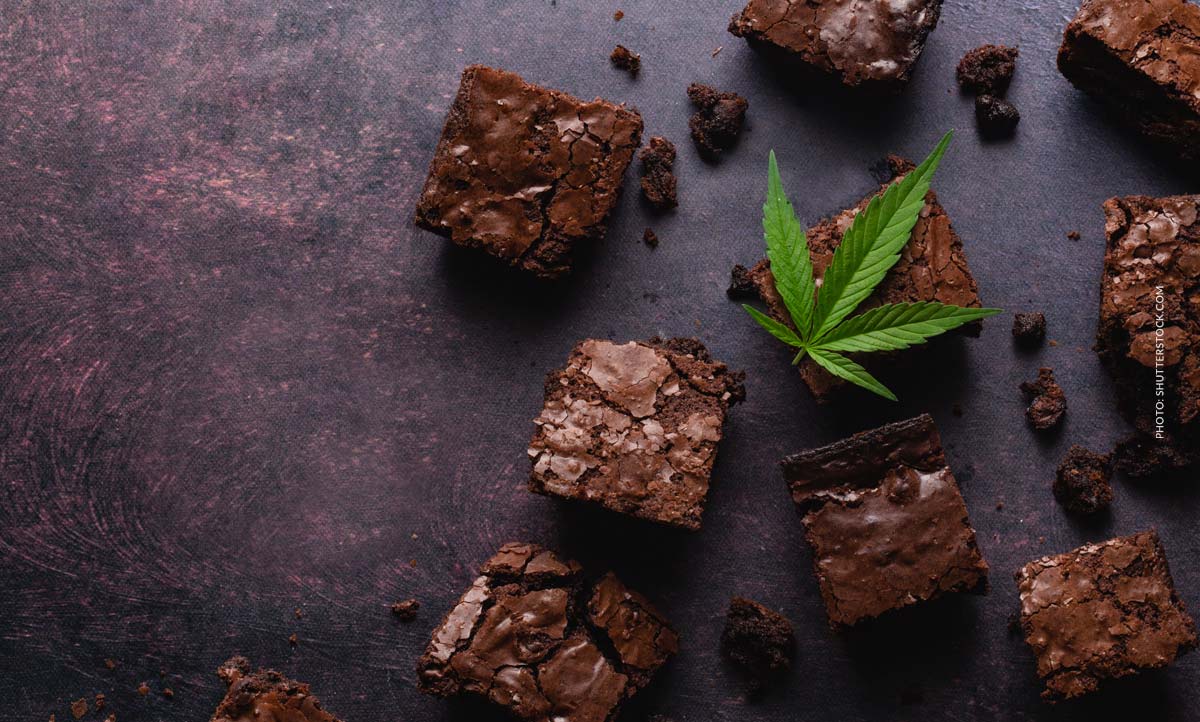 Cannabis Brownies: Rezept, vegan & richtig dosieren
