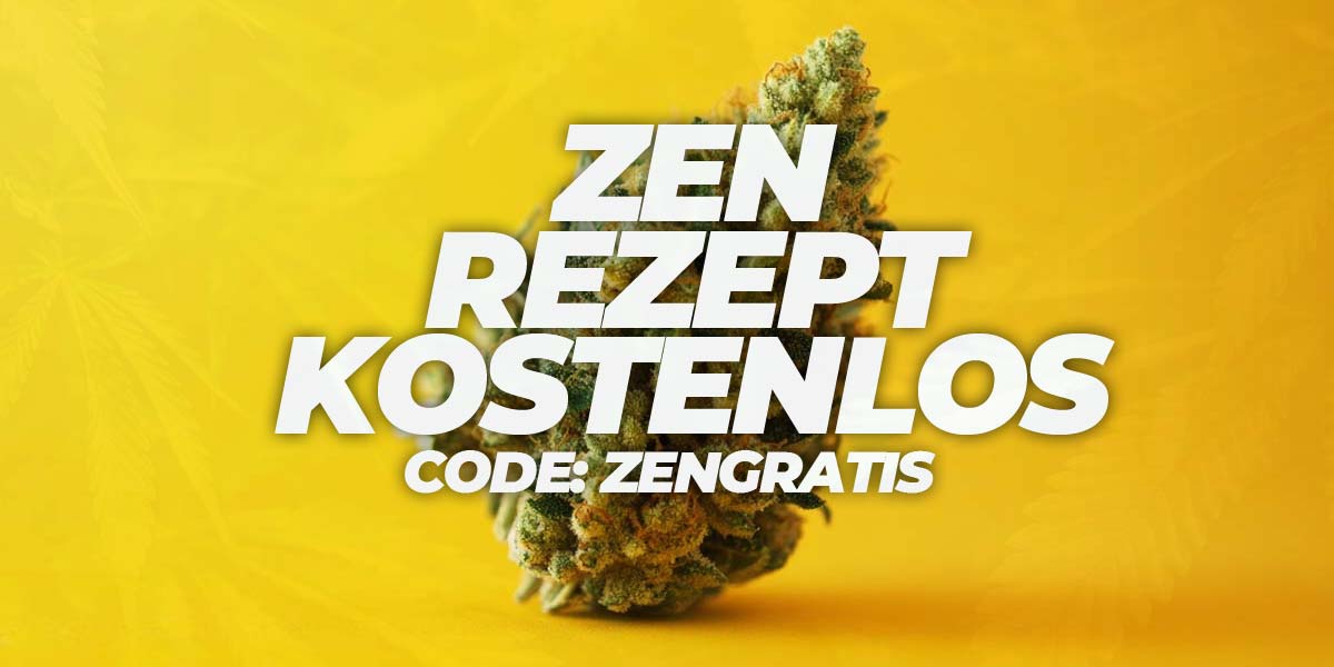 Cannabis Online-Klinik: Rezept, Kosten & welche ist gut?