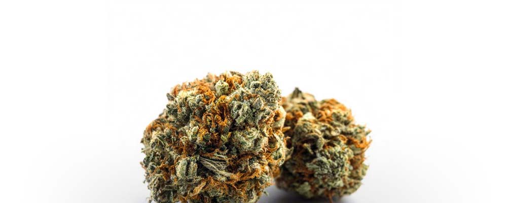 Cannabis Blüten vs Extrakt: Unterschied & was wirkt stärker?