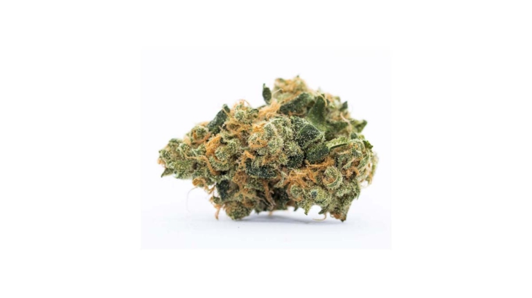 Gelato Cake Sorte: THC-Gehalt, Wirkung & wie ist der Geschmack?